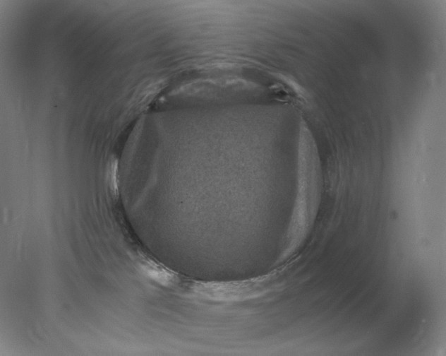 X0000078300041200611172159