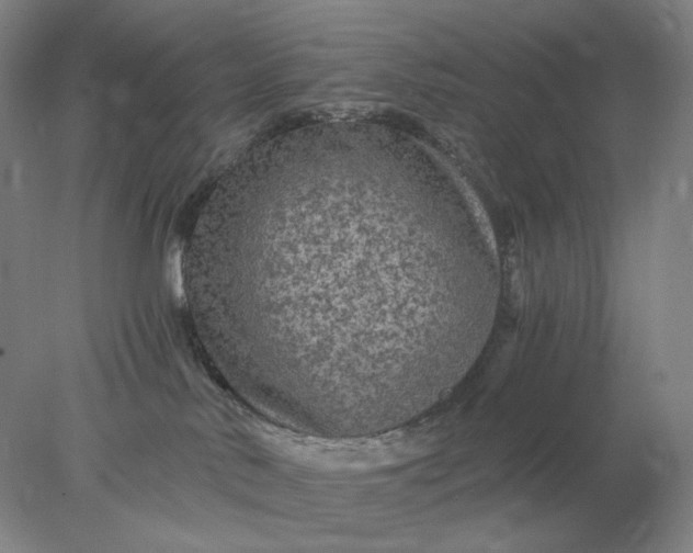 X0000078300042200611172159