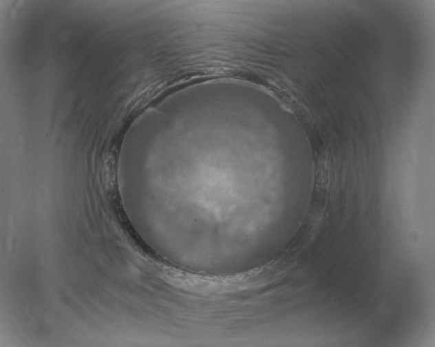 X0000078300043200611172159