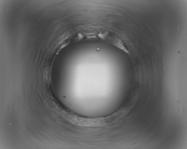 X0000078300044200611172159