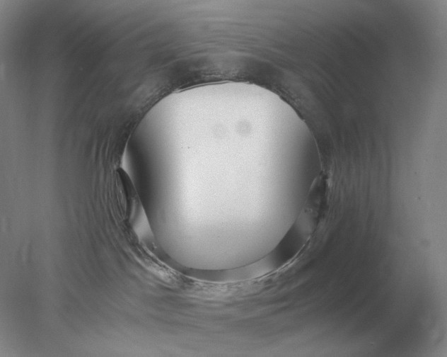 X0000078300045200611172159