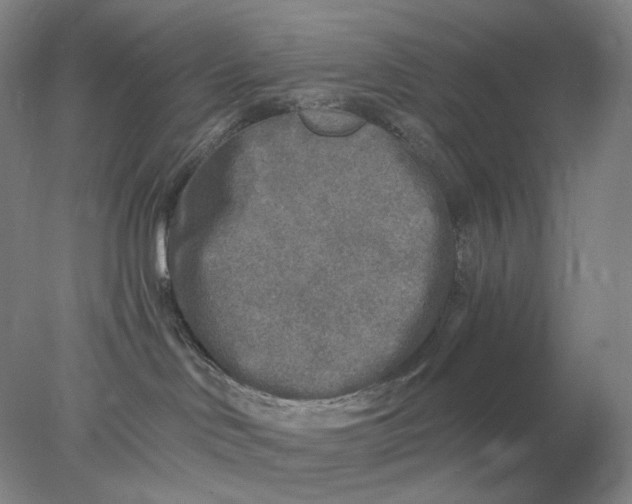 X0000078300046200611172159