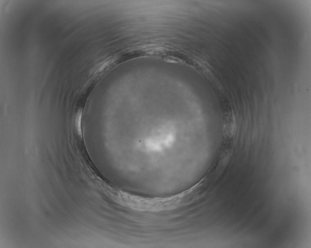 X0000078300047200611172159