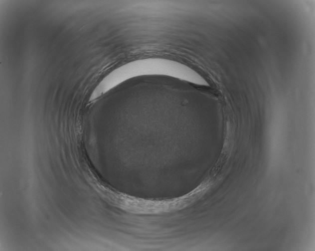 X0000078300048200611172159