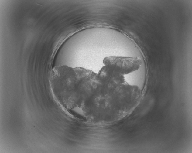 X0000078300049200611172159