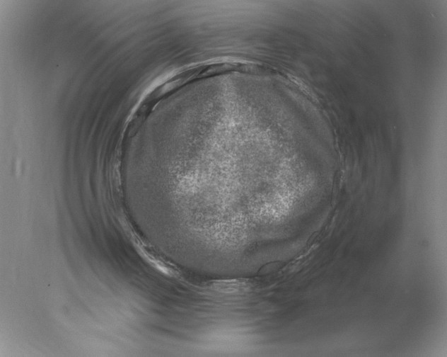 X0000078300050200611172159