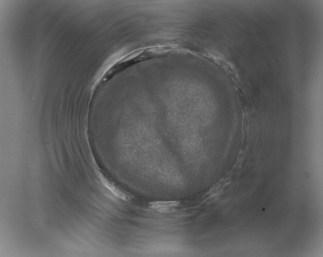 X0000078300051200611172159