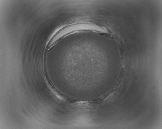 X0000078300052200611172159