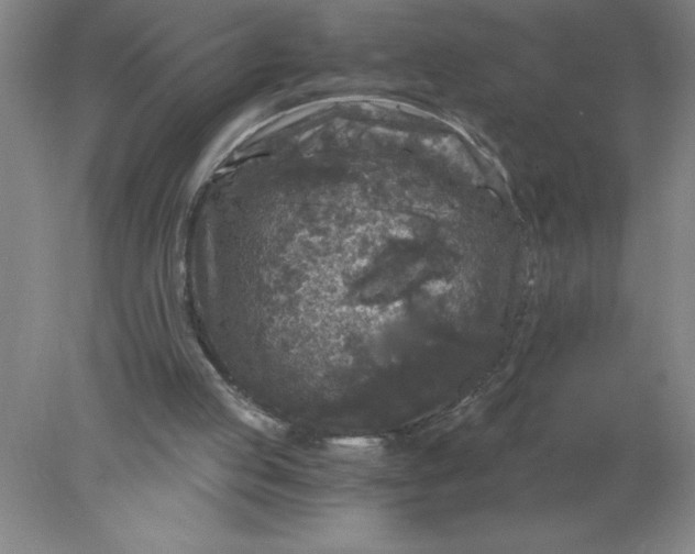 X0000078300053200611172159