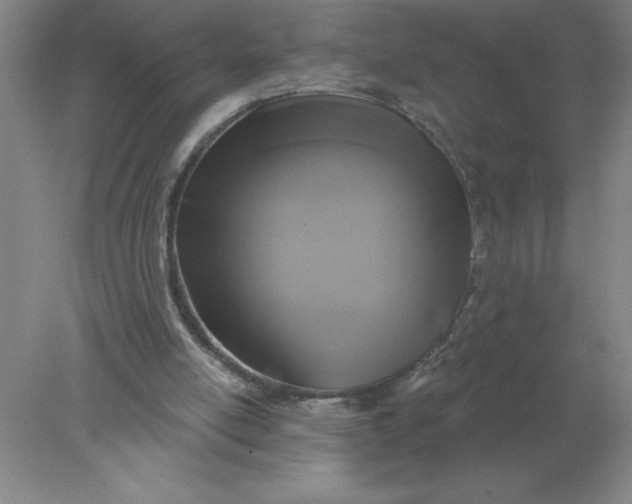 X0000078300054200611172159