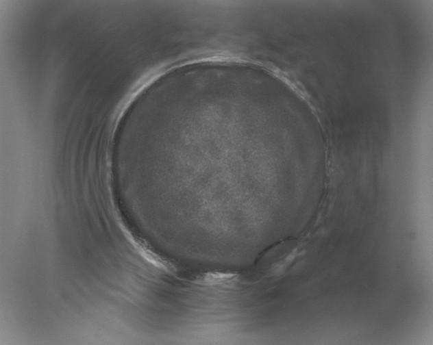 X0000078300055200611172159