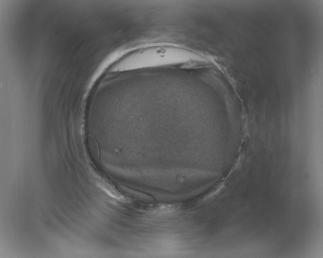 X0000078300056200611172159