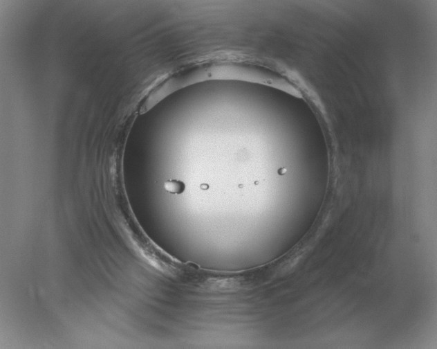 X0000078300057200611172159