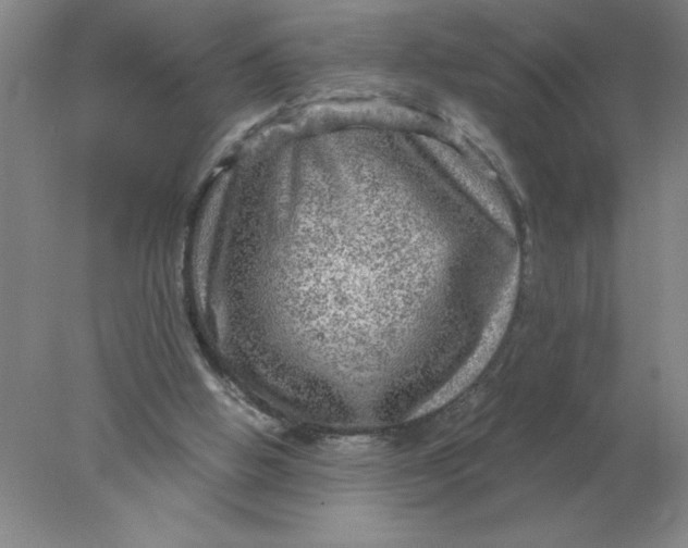 X0000078300058200611172159