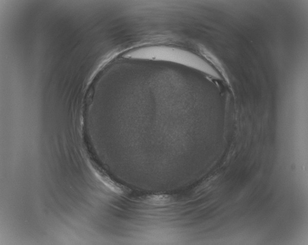 X0000078300059200611172159