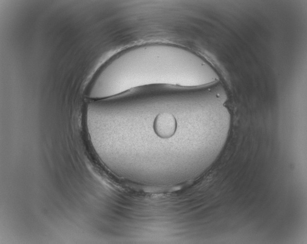 X0000078300060200611172159