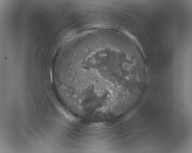 X0000078300061200611172159