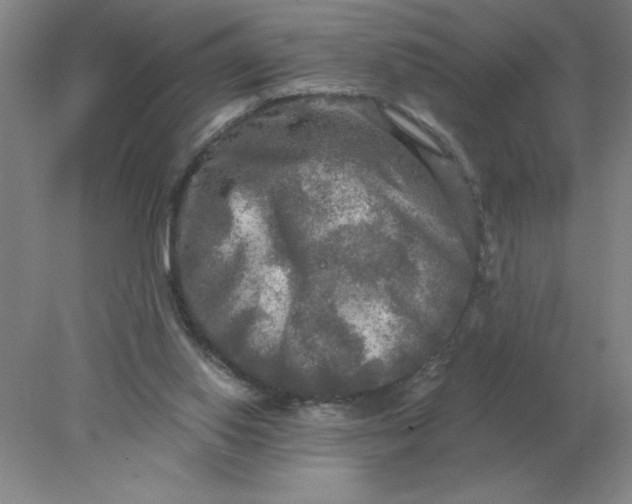 X0000078300062200611172159