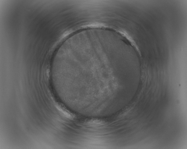 X0000078300063200611172159