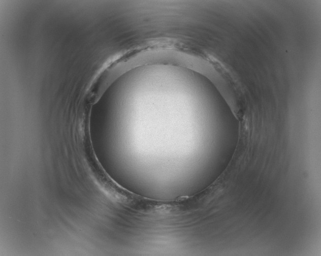 X0000078300064200611172159