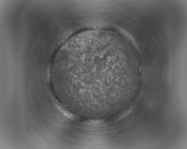 X0000078300065200611172159