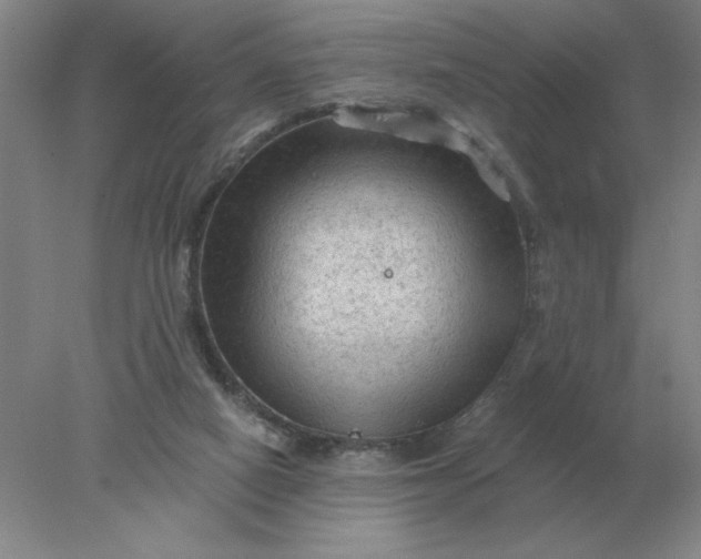 X0000078300066200611172159