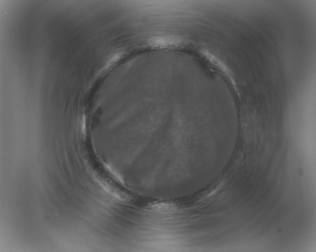 X0000078300067200611172159