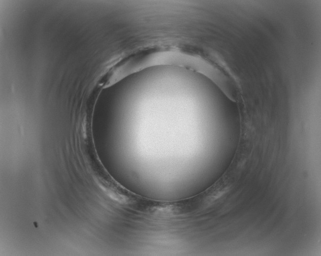 X0000078300068200611172159