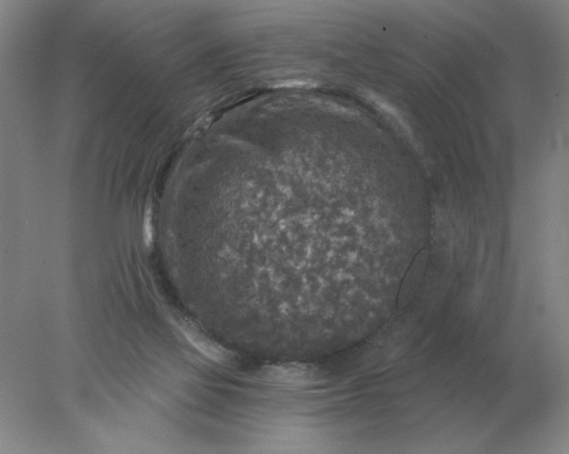 X0000078300069200611172159