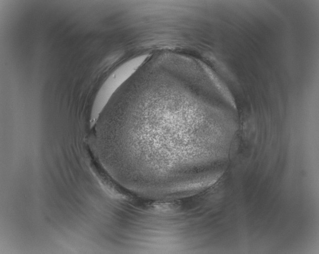 X0000078300070200611172159