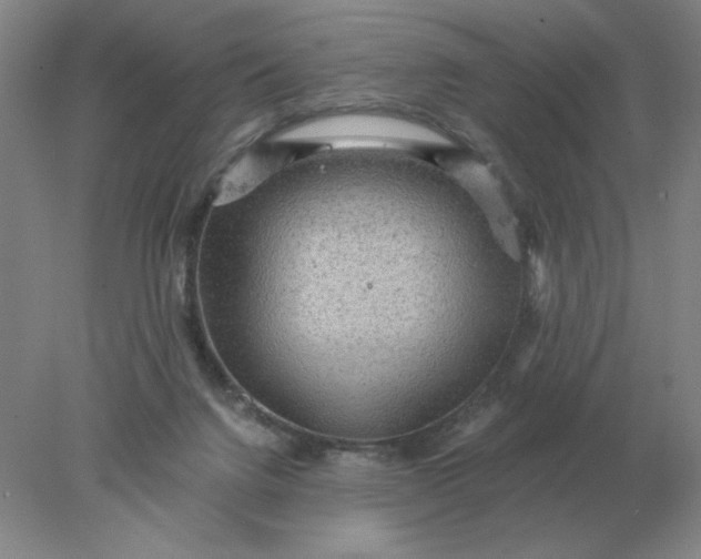 X0000078300072200611172159