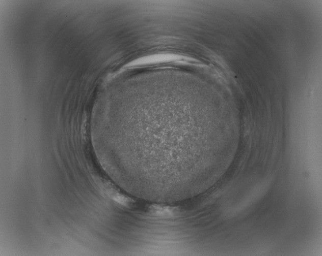 X0000078300073200611172159