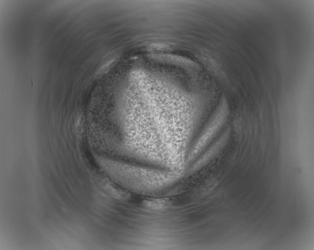 X0000078300079200611172159