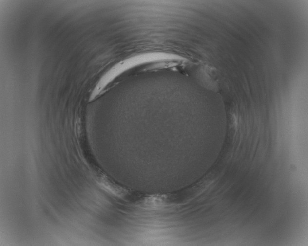 X0000078300080200611172159