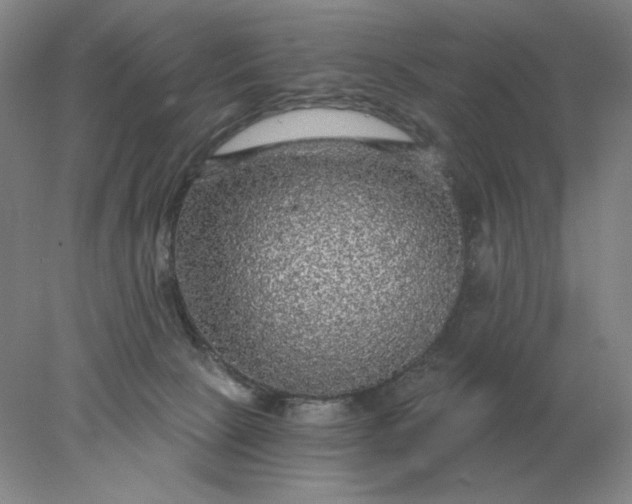 X0000078300081200611172159