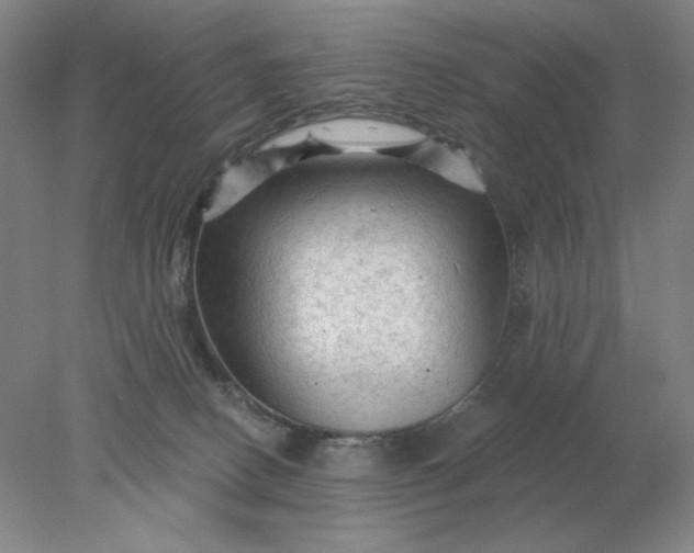 X0000078300082200611172159