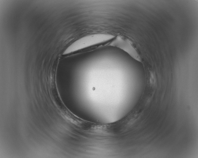 X0000078300084200611172159