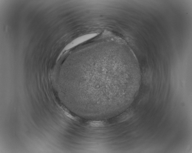 X0000078300085200611172159