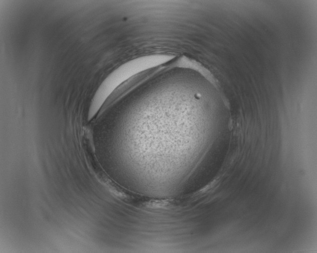 X0000078300086200611172159