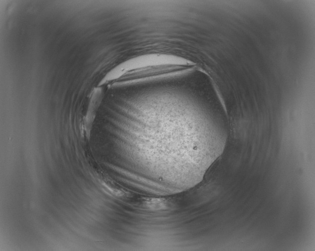 X0000078300091200611172159