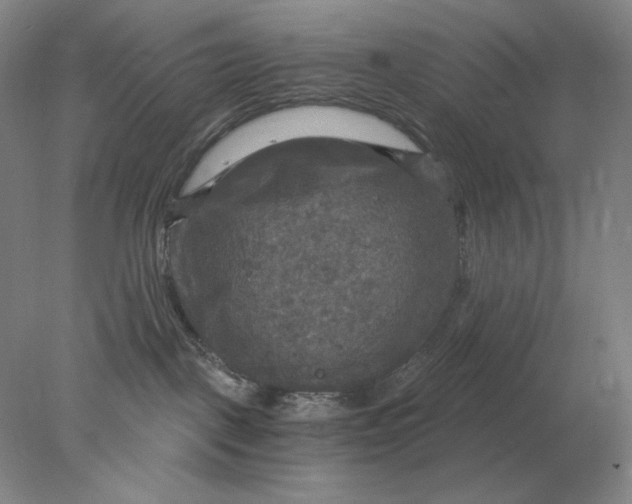 X0000078300093200611172159