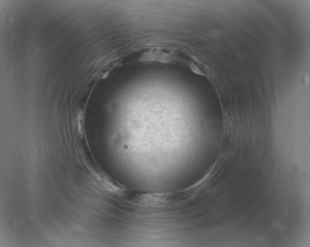 X0000078300094200611172159