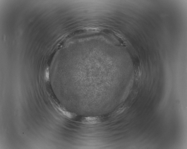 X0000078300095200611172159