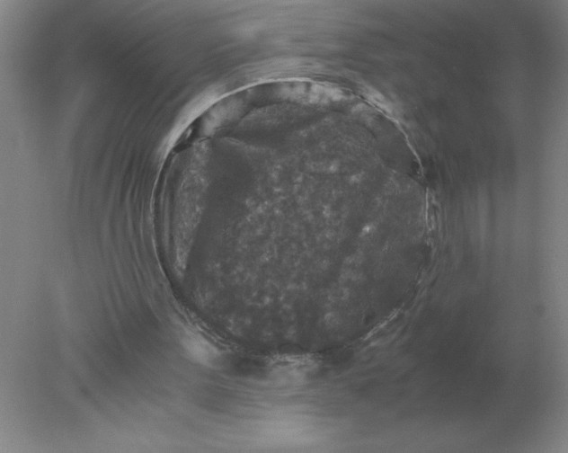 X0000078300099200611172158