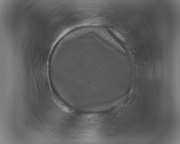 X0000078300100200611172158