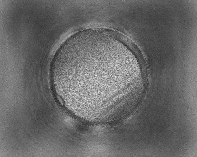 X0000078300103200611172158