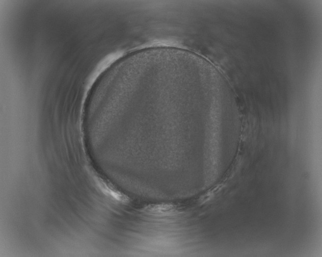 X0000078300104200611172158