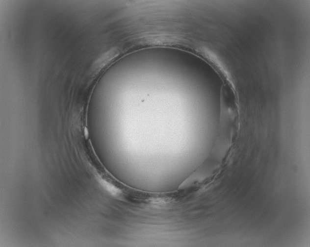 X0000078300105200611172158