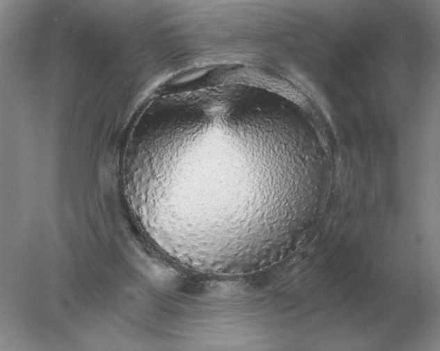 X0000078300107200611172158