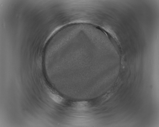 X0000078300108200611172158